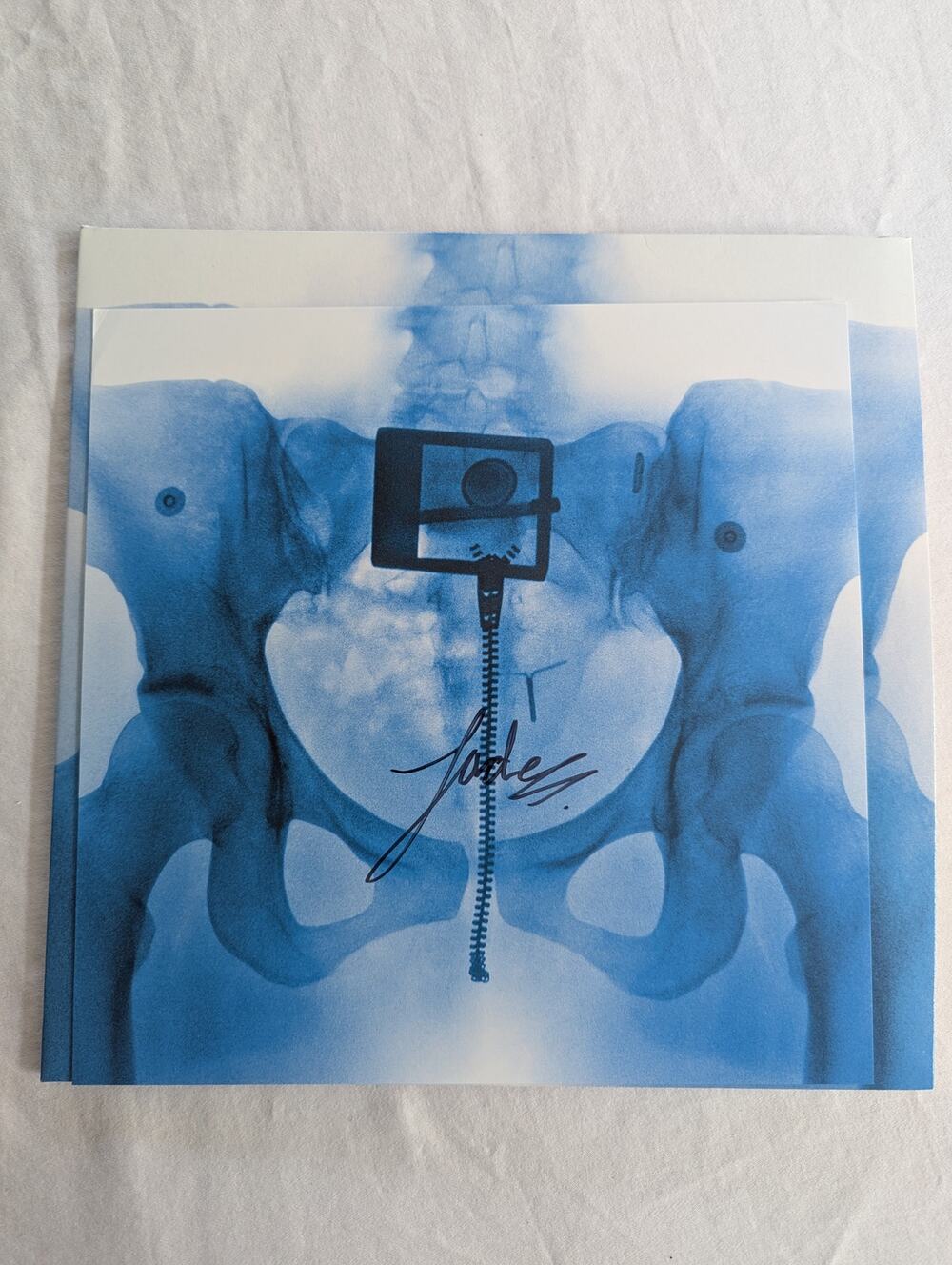Lorde Signed Vinyl Virgin LP Autographed X-Ray Picture Disc